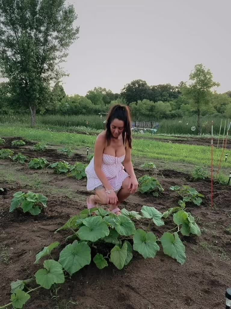 @Thataveragemom