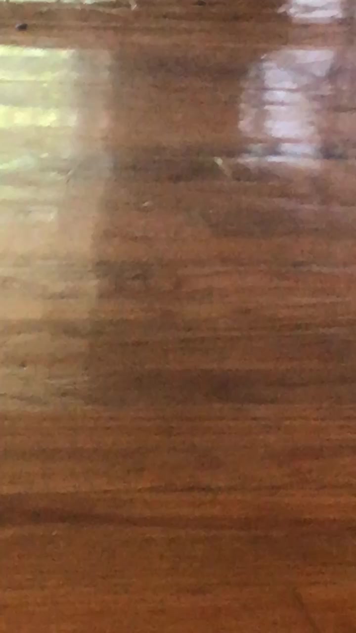 @ohkarajane 🐈