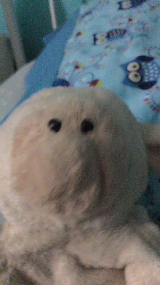 @Plushes/stuffy&rsquo;s