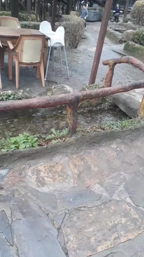 @Haşim Kayacan