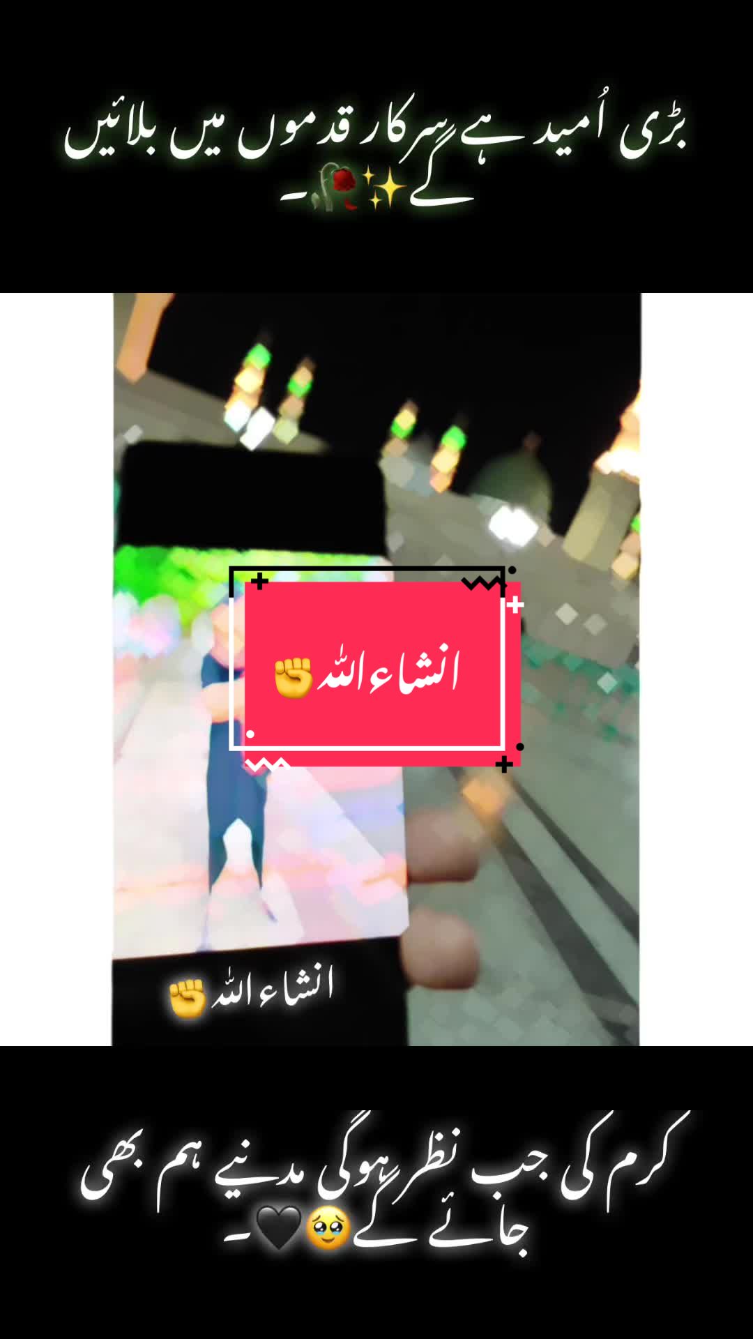 @SiBi💨