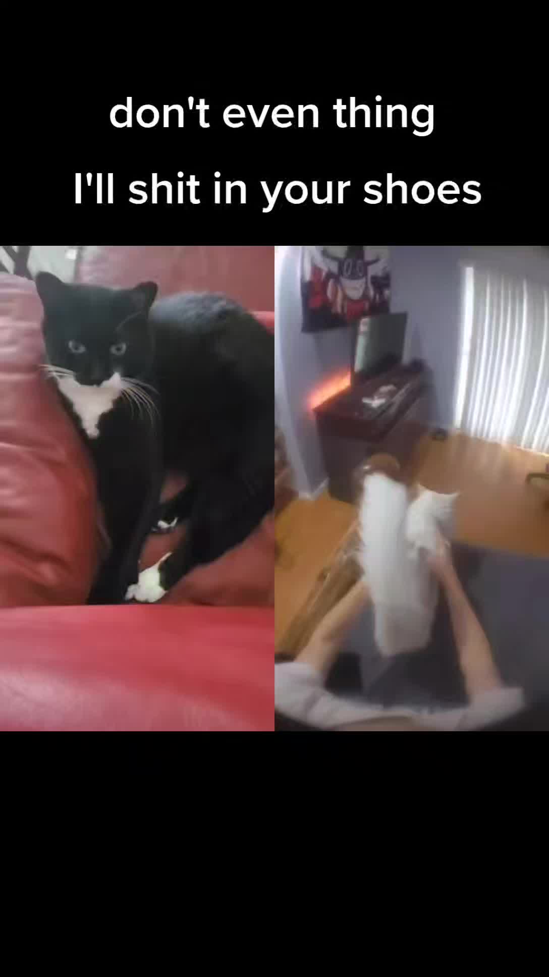 @MrPickles