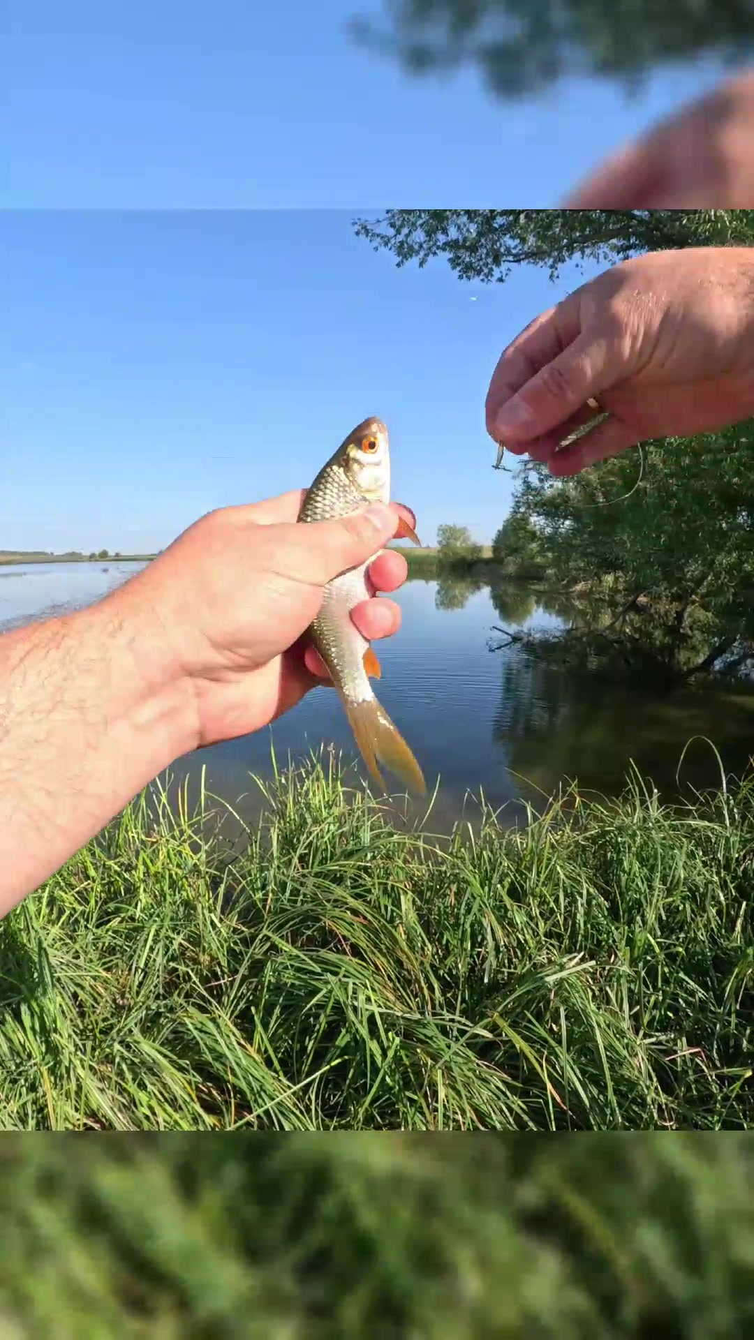 @Колька Рыбак👦🎣