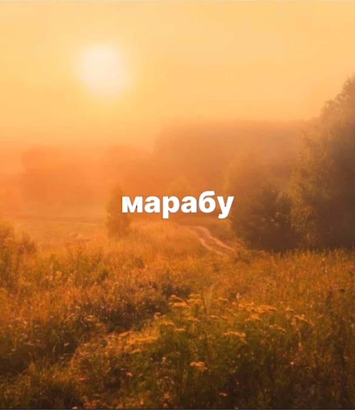 @даша солевая