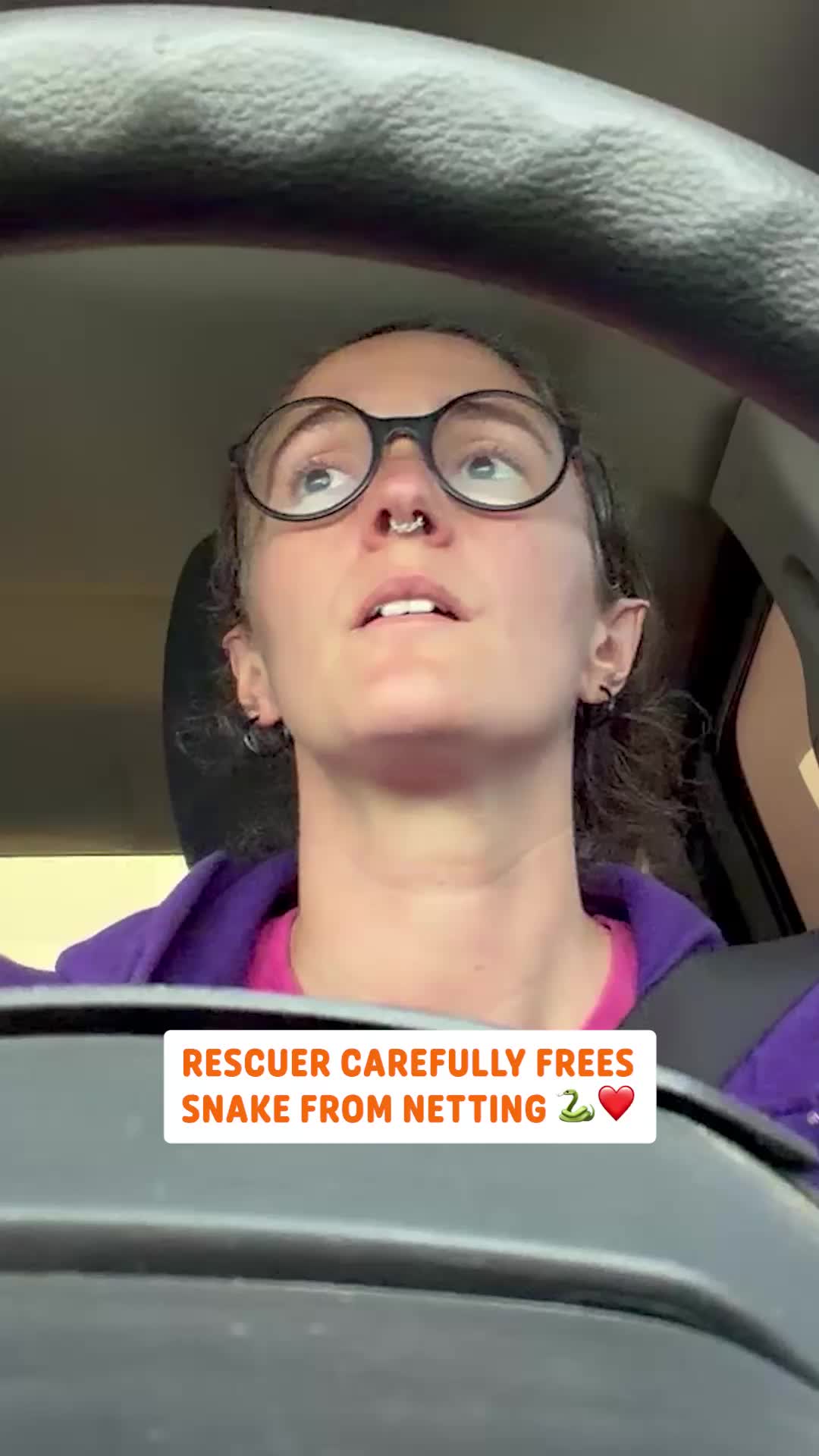 @Pawsome Pets