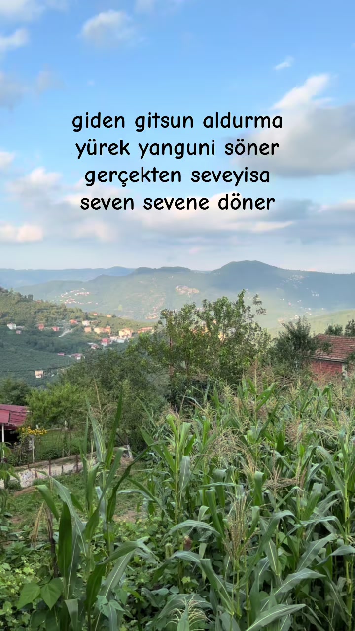 @Sevcan Gündoğan