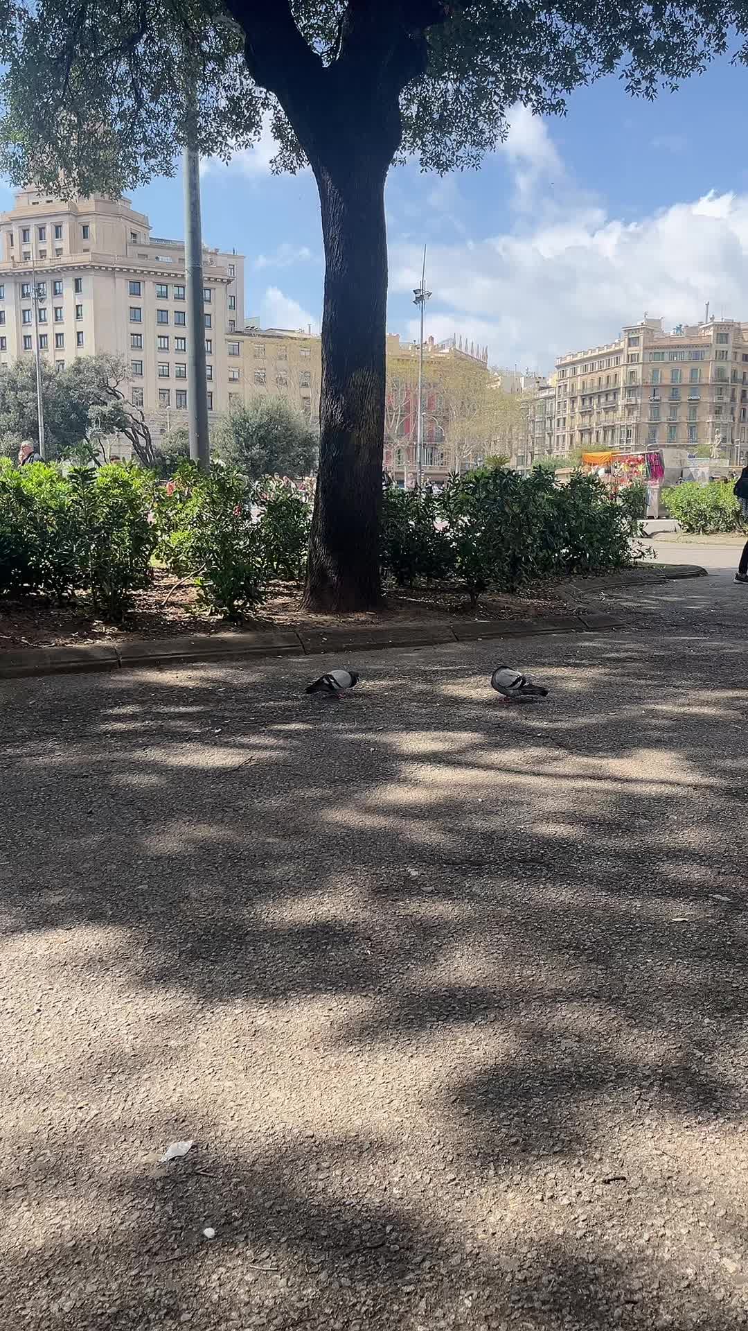 @minniepixar.786