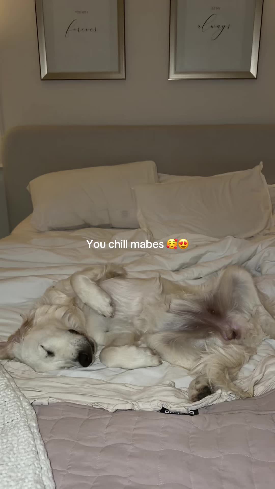 @Mrshanbrown