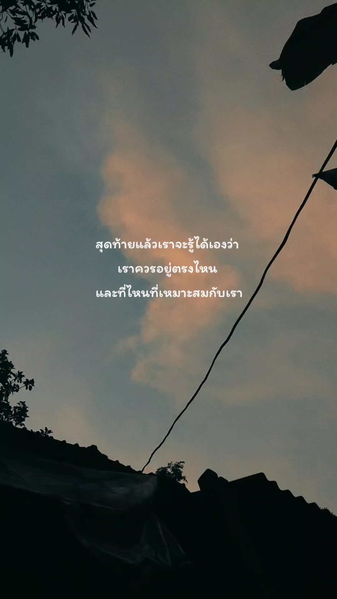 @pipat🌻🤍51.7K
