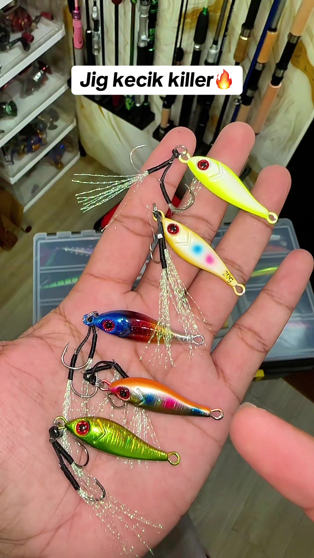 @Ariel Fishing