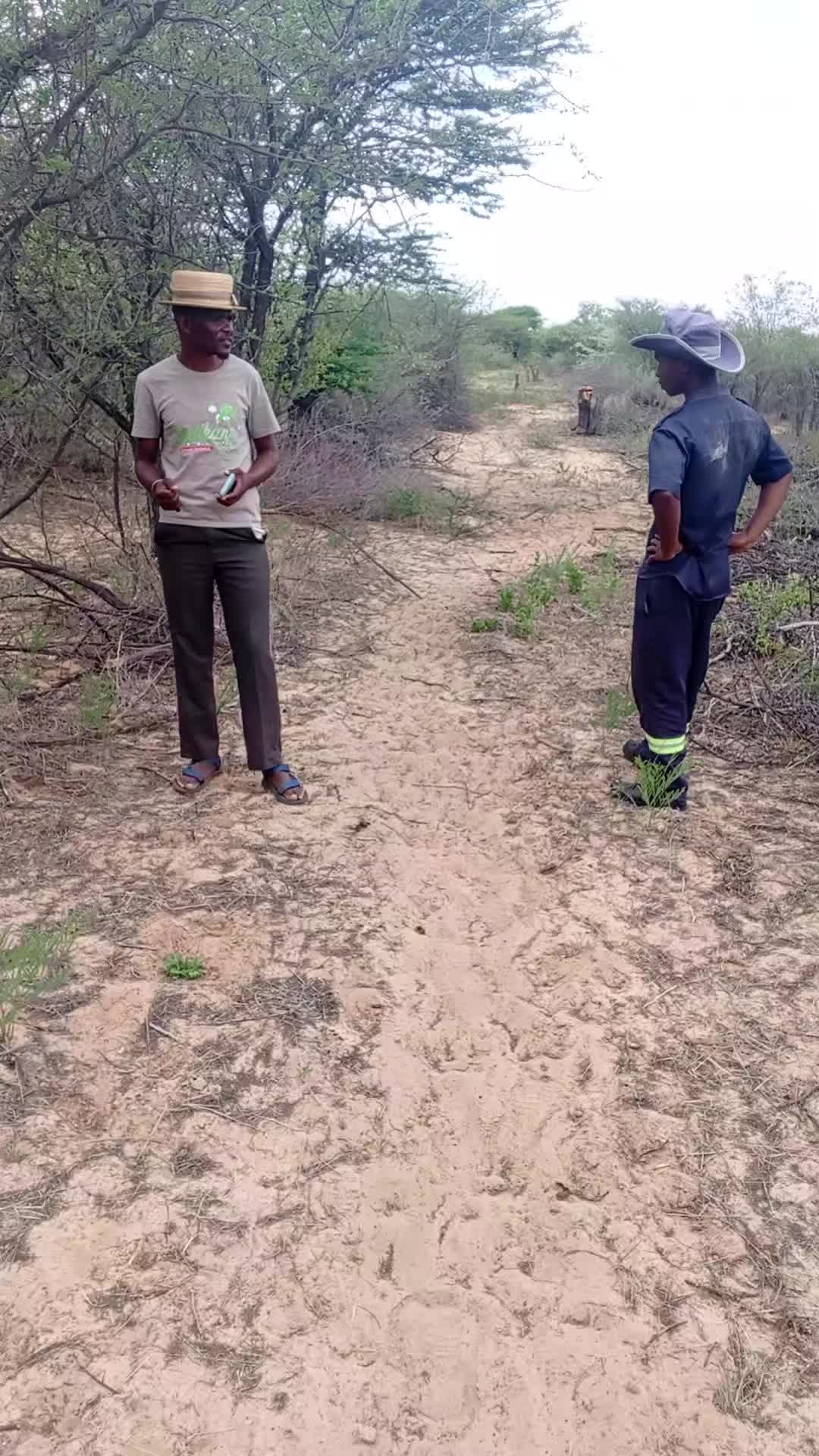 @Bodikana Traditional herbalist