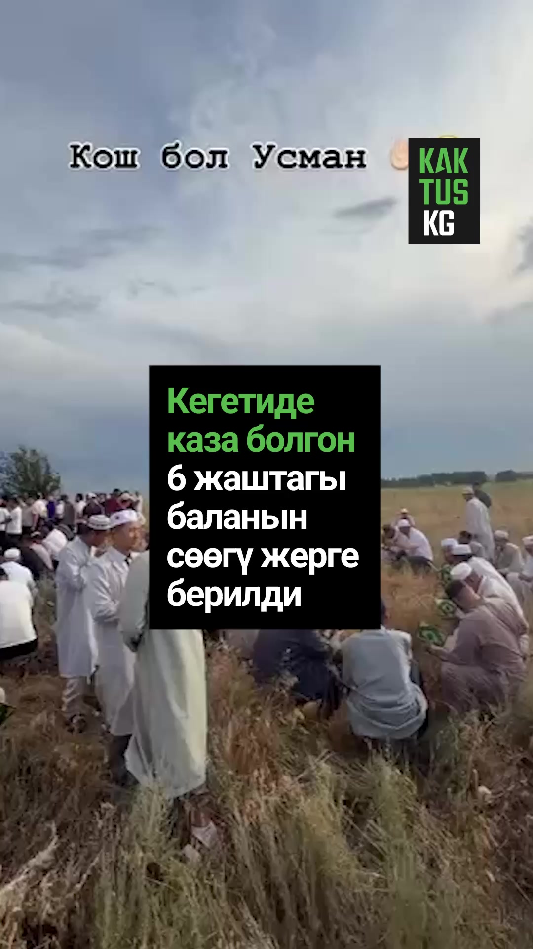 @Kaktus KG