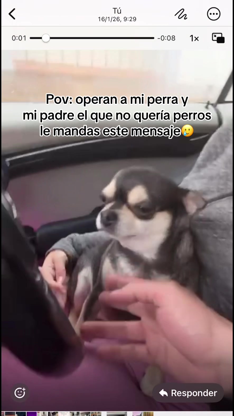@lau.pbarreiro