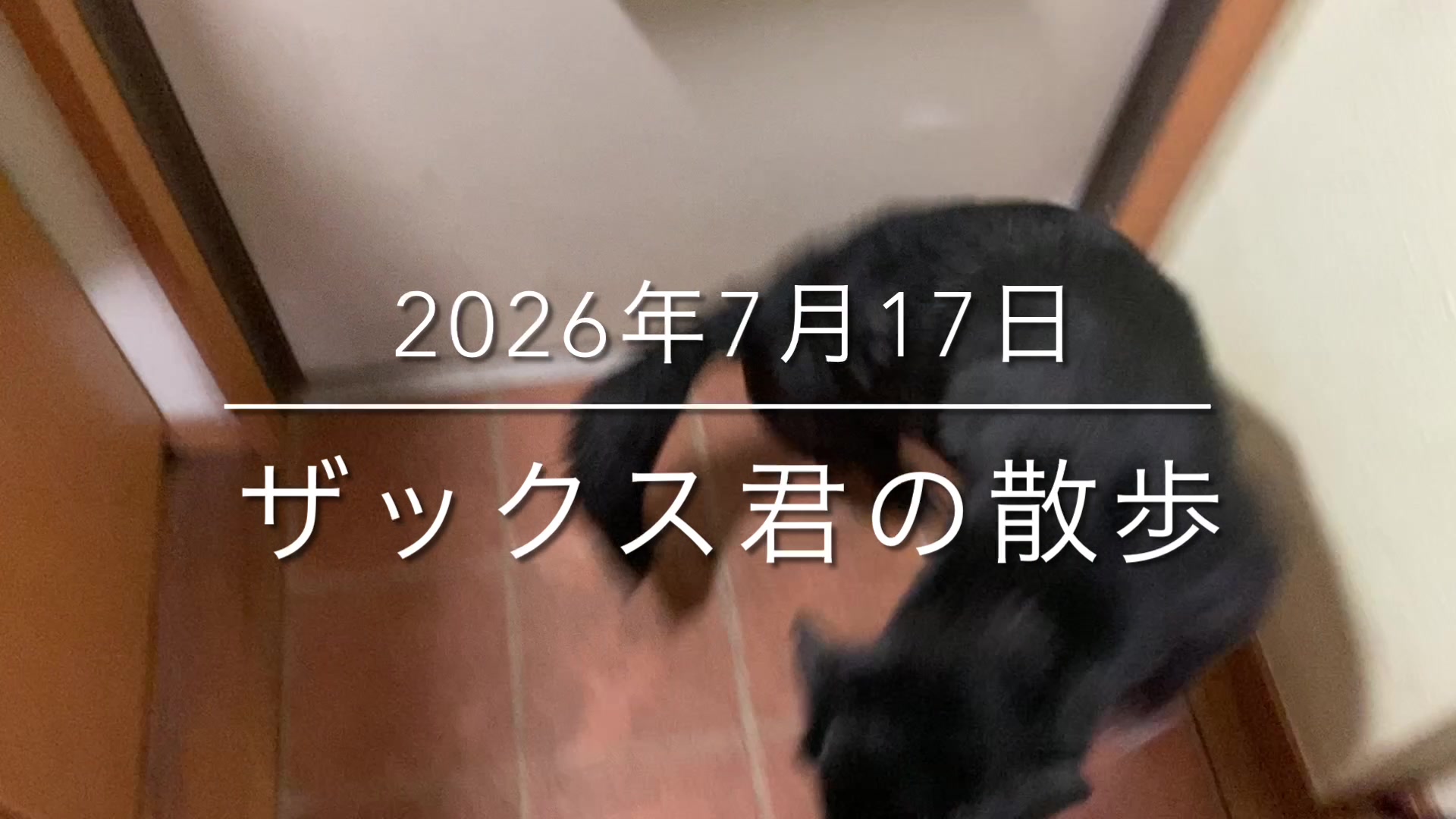 @sakihaman