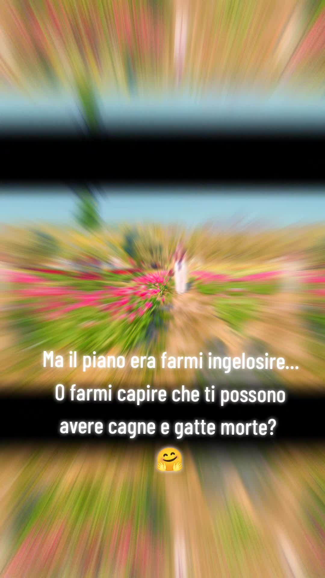 @Lorena Filipi