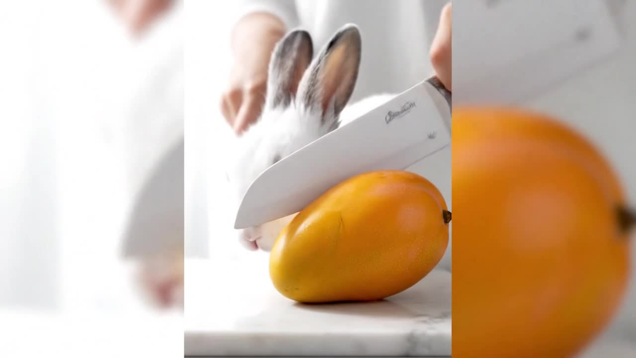 @Oddly Satisfying ASMR