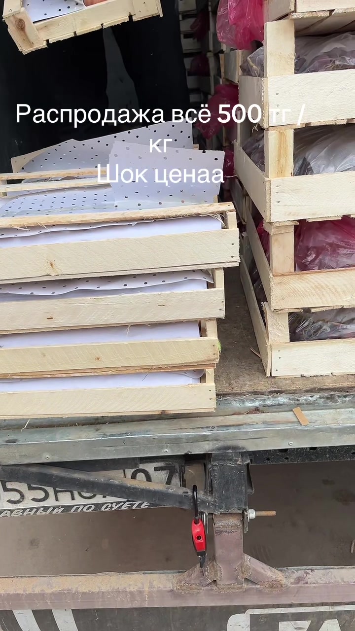 @bauka 2114 🫰🏻
