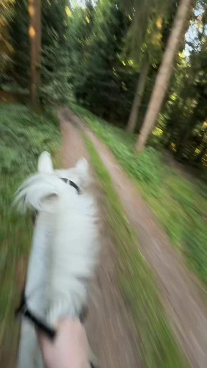 @️