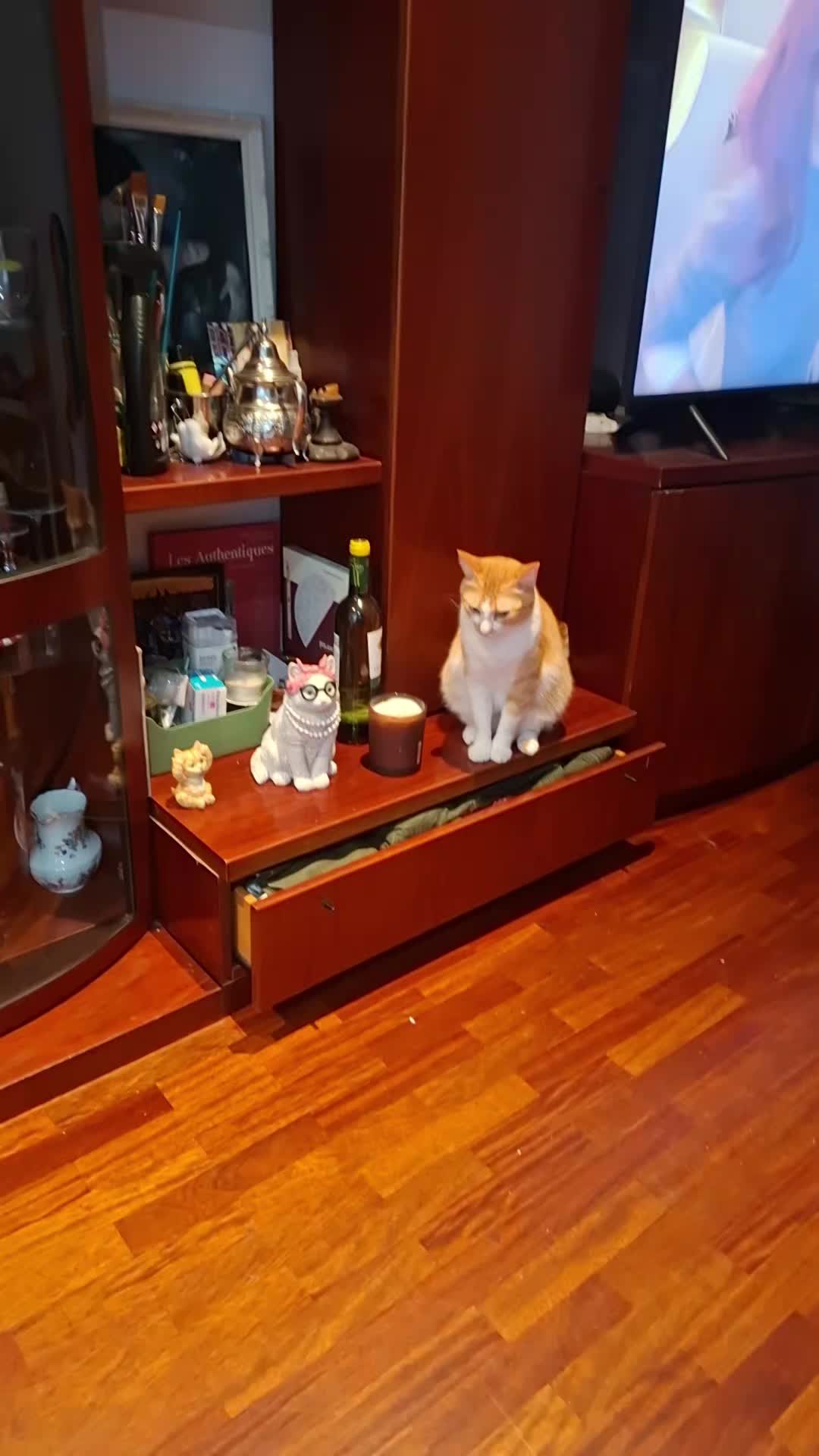 @Happy Cat