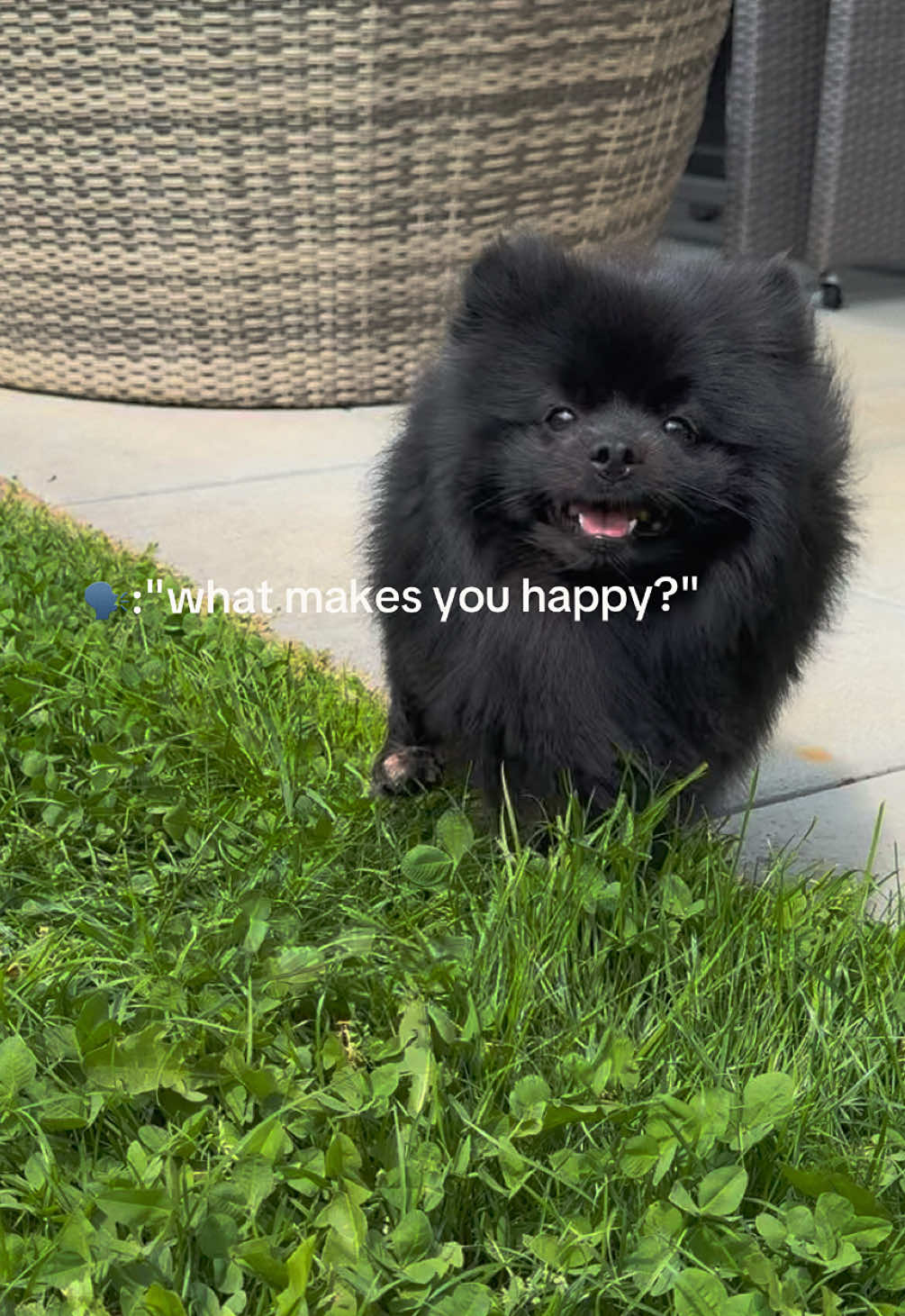 @Lylo