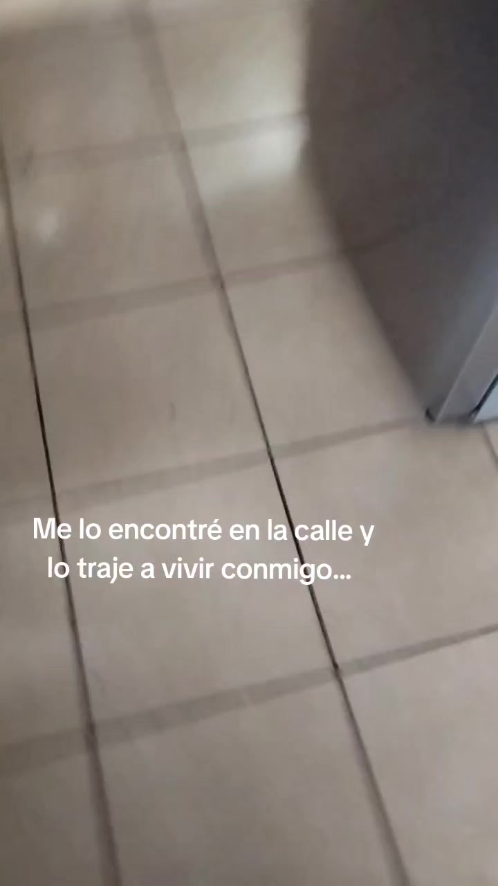 @Jéssica 🇨🇷