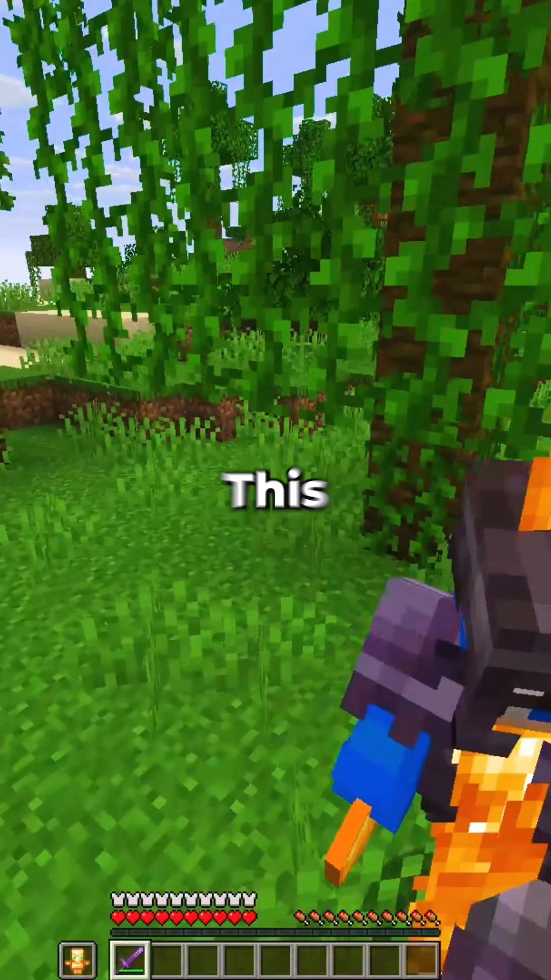 @RageMC