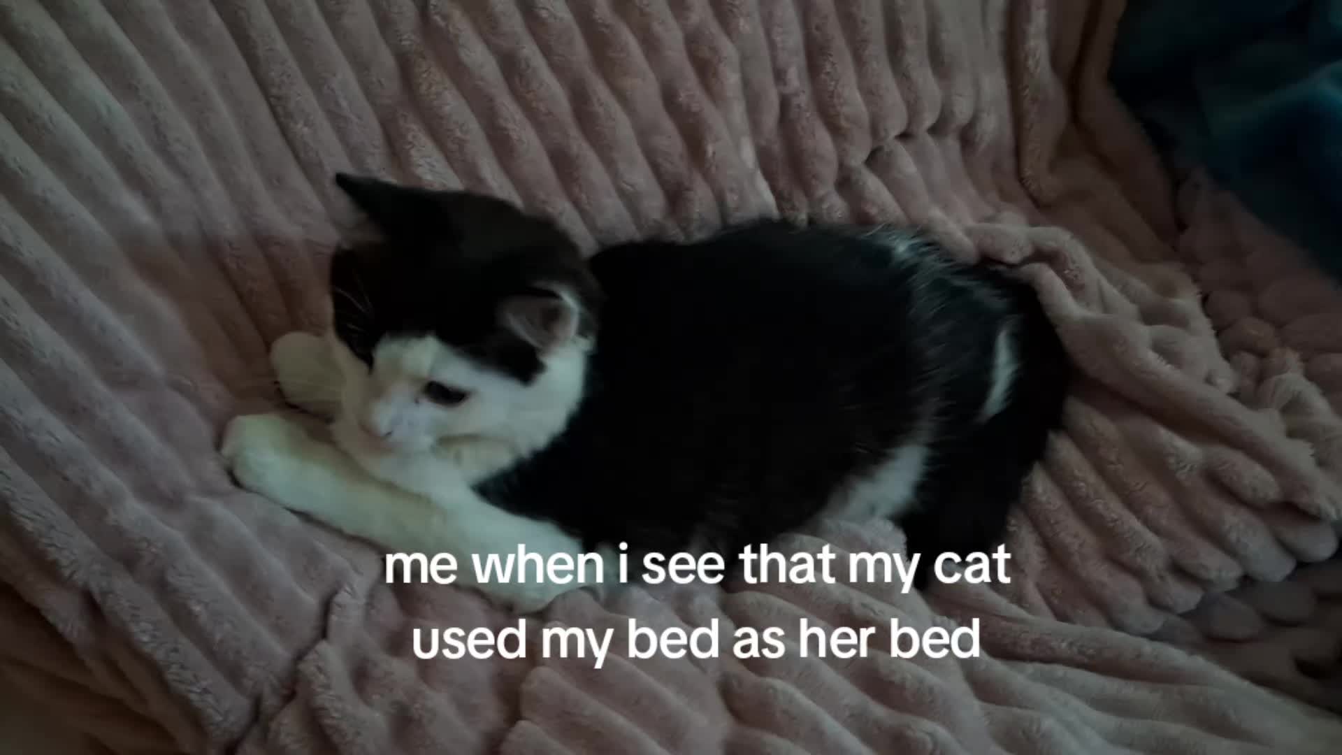 @Arianna_2
