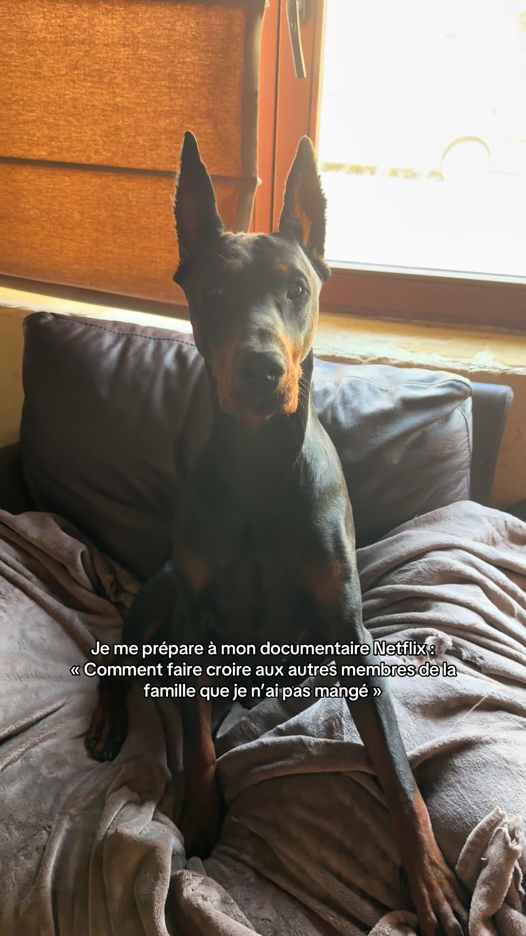 @skayko.ma