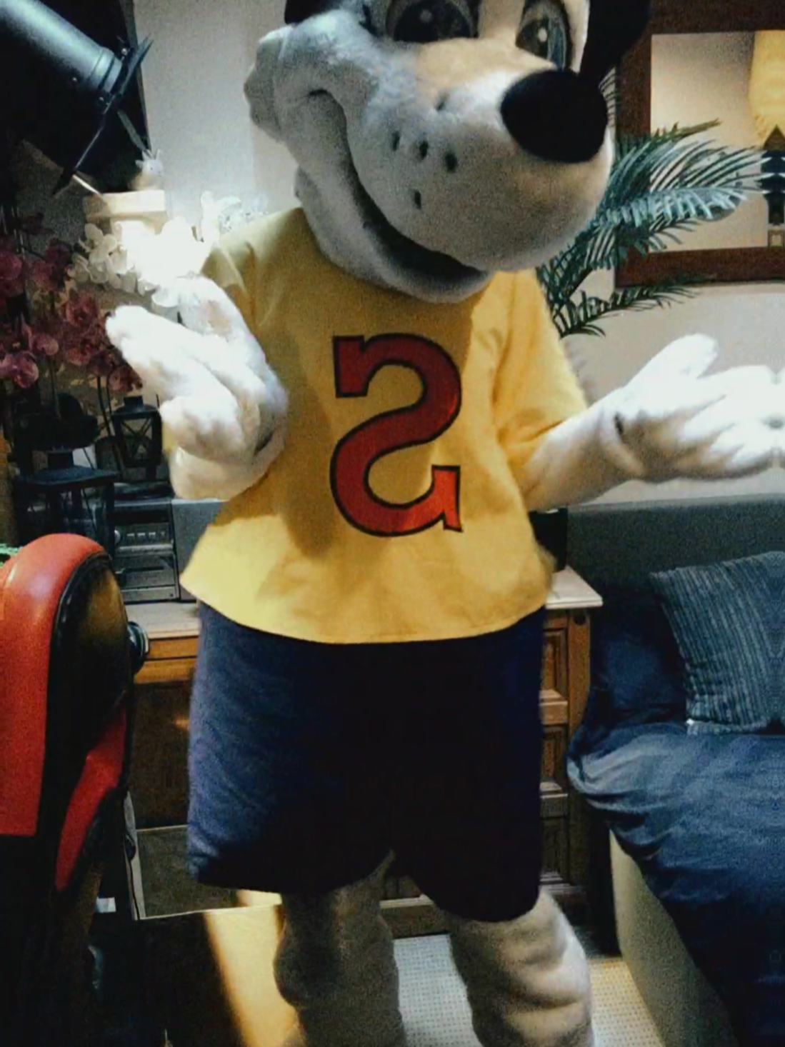 @Mascot Dan