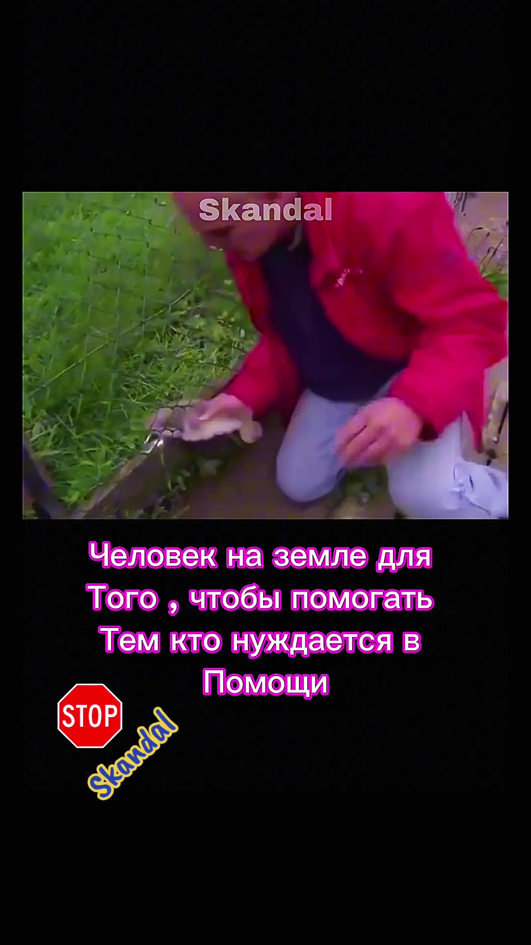 @skandal 2