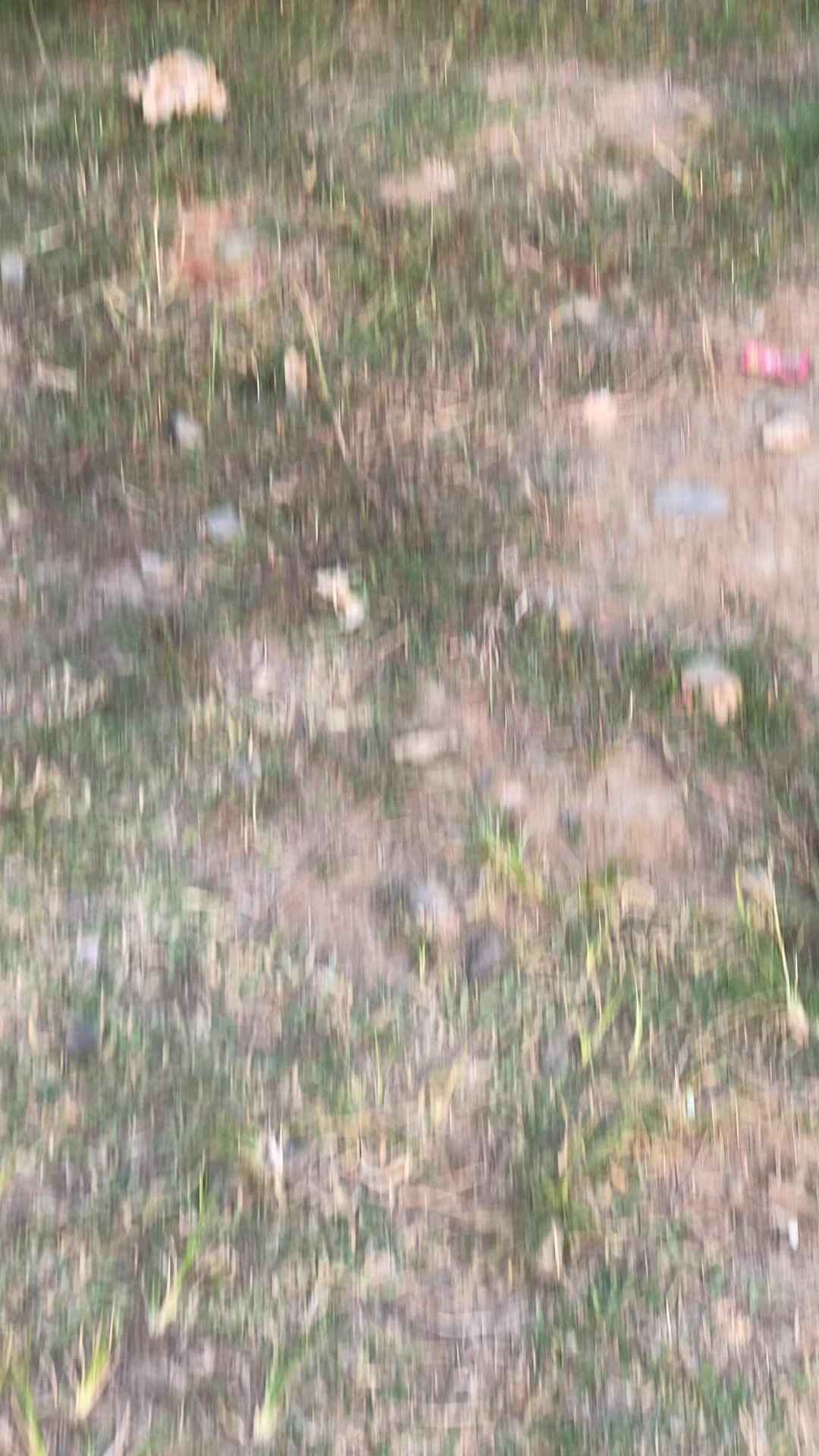 @JAIGASUKATBRT