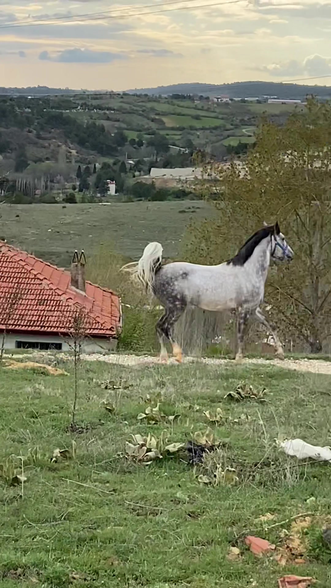 @Ergin Atcı
