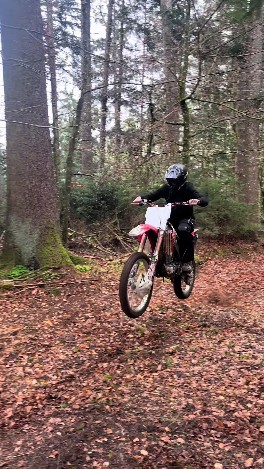 @2_stroke_levä