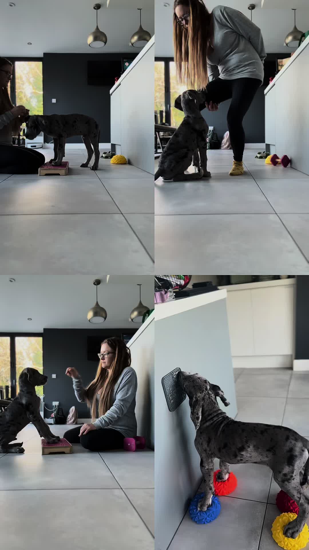 @jorosieh