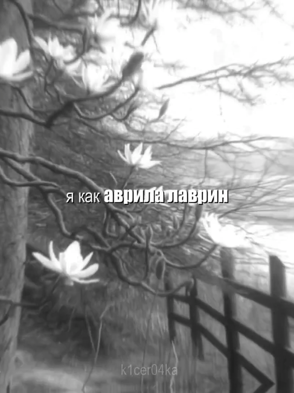 @𝑲𝑰𝑪𝑬𝑹𝑨