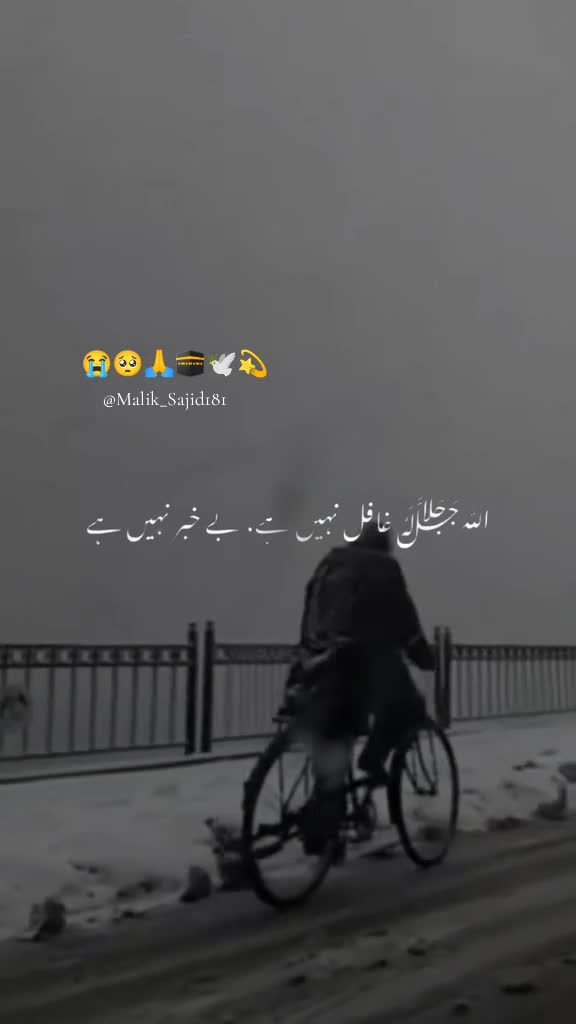 @🥀Malik_Sajid181💫