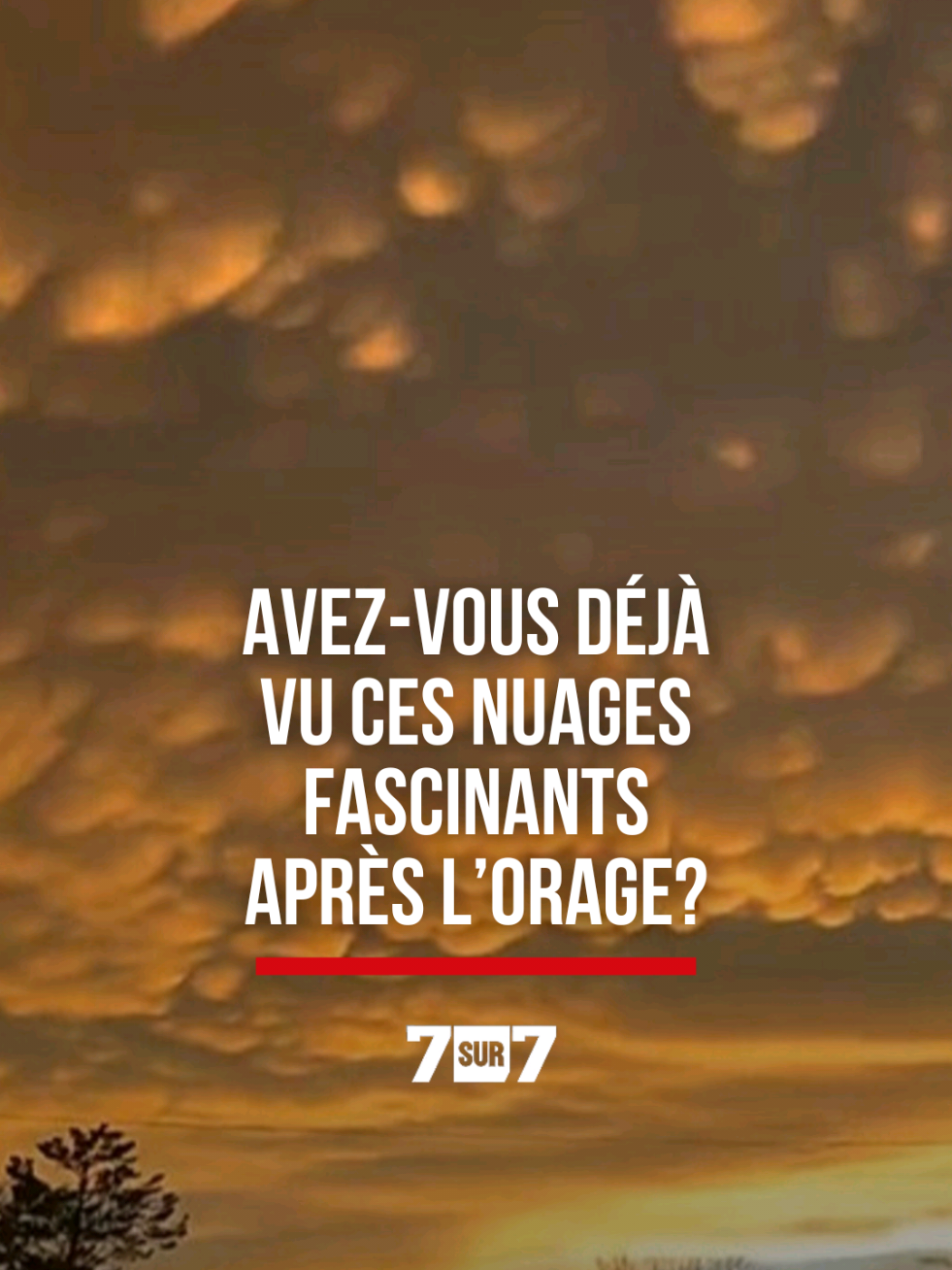 @7sur7.be