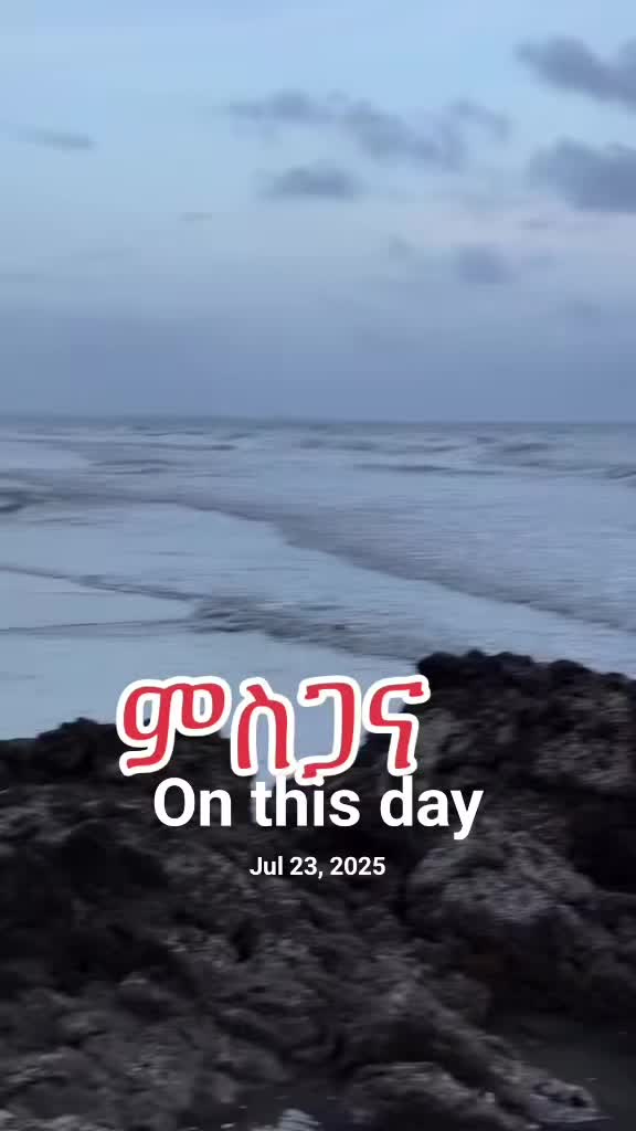 @Rise 🌸