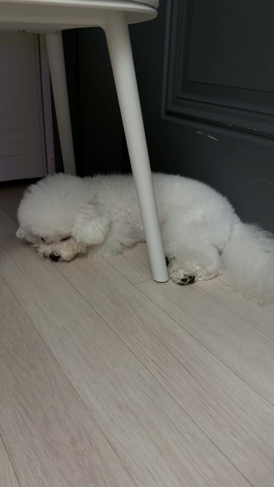 @jeju_kiki