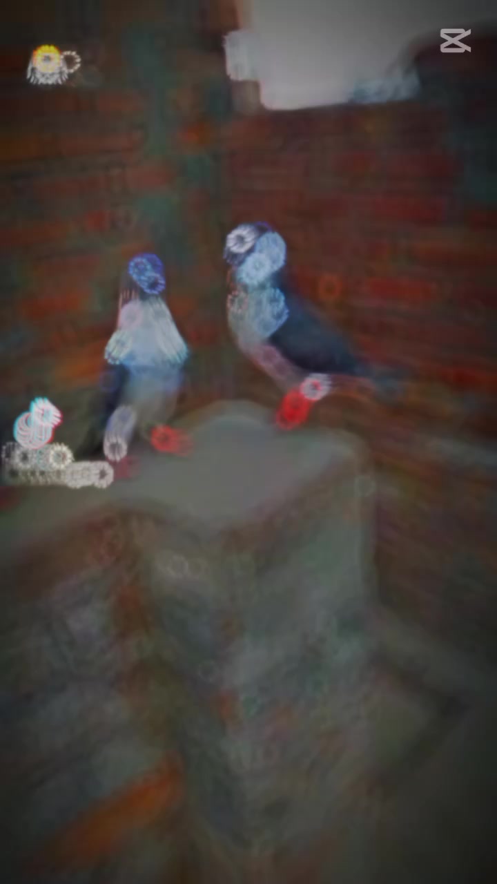 @jjjjjjkkkkmmmk