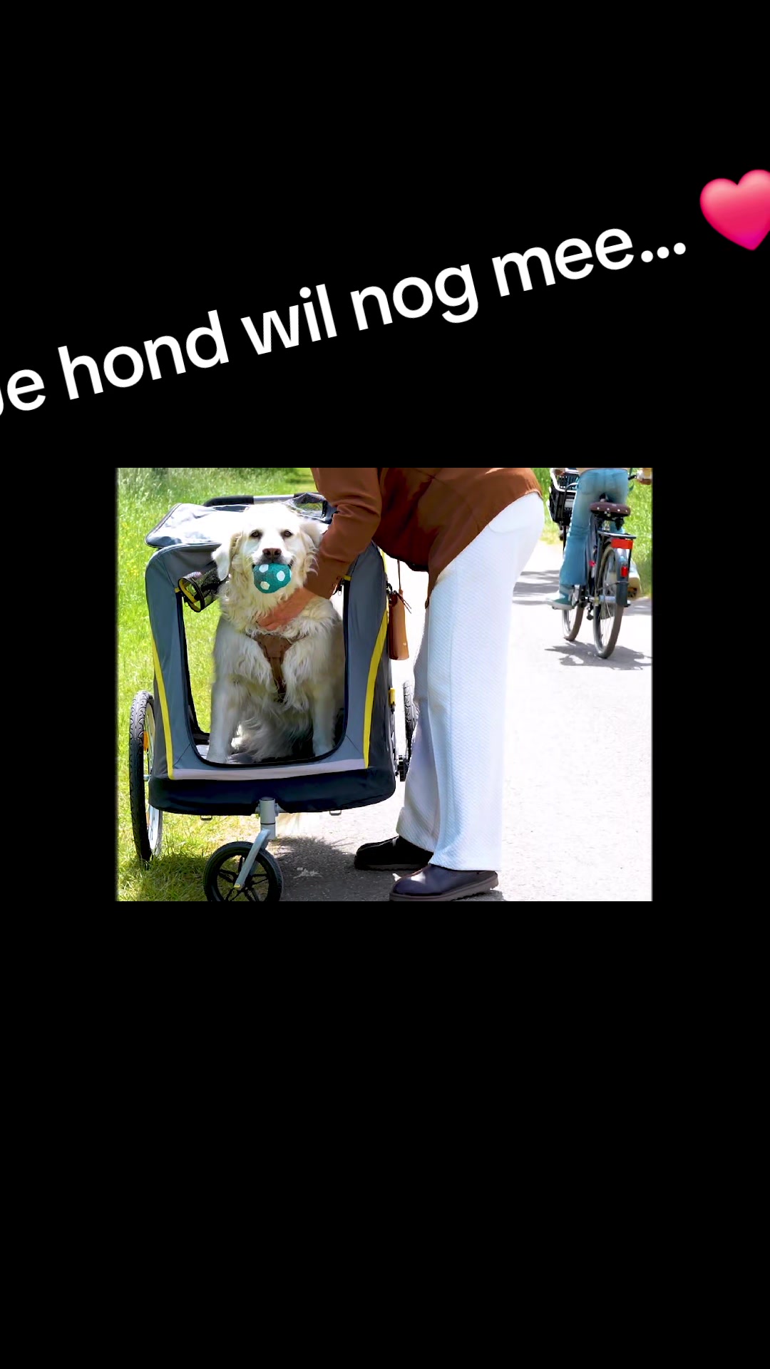 @Luxury Pets - Woefwinkel