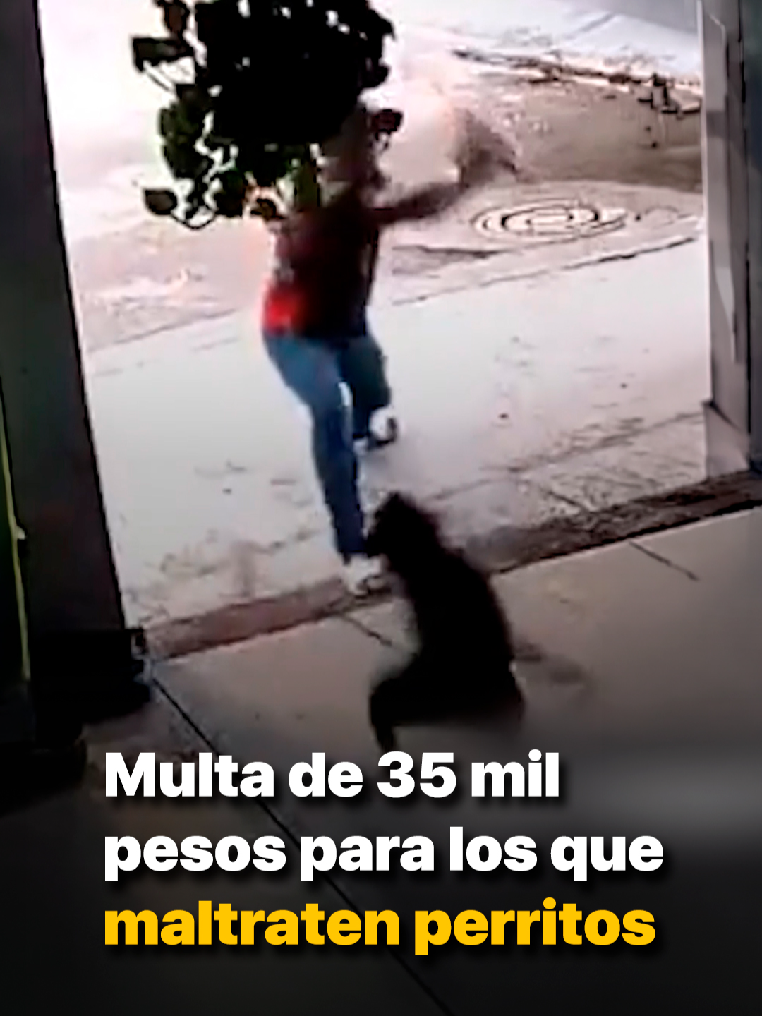 @Badabun