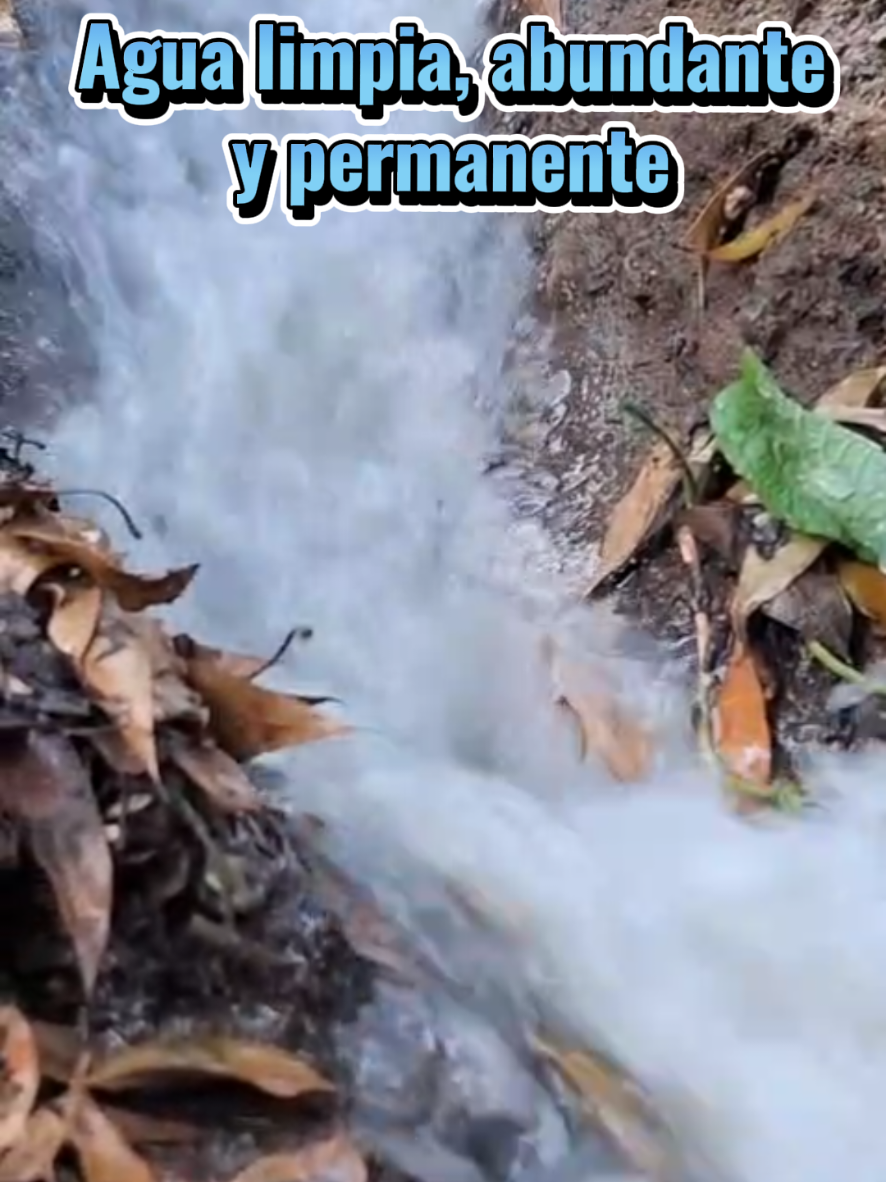 @💧AQUASOL💧 Carlos Cuc