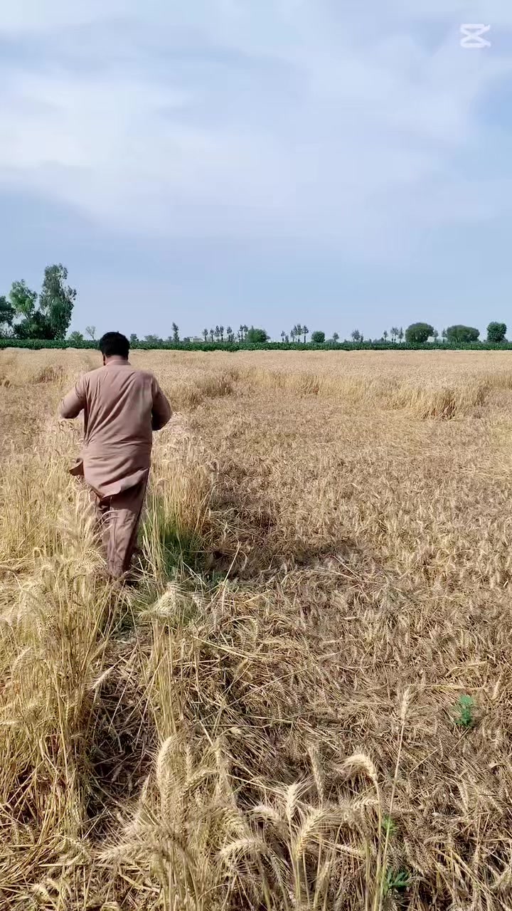 @SamiGujjar16