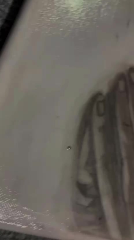 @André tatto👽✍️🇲🇽