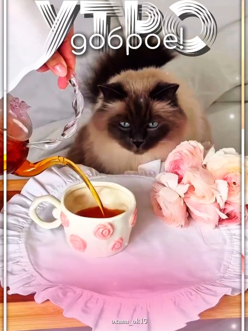 @❀︎𝓞𝔁𝓪𝓷𝓪_𝓸𝓴10❀︎