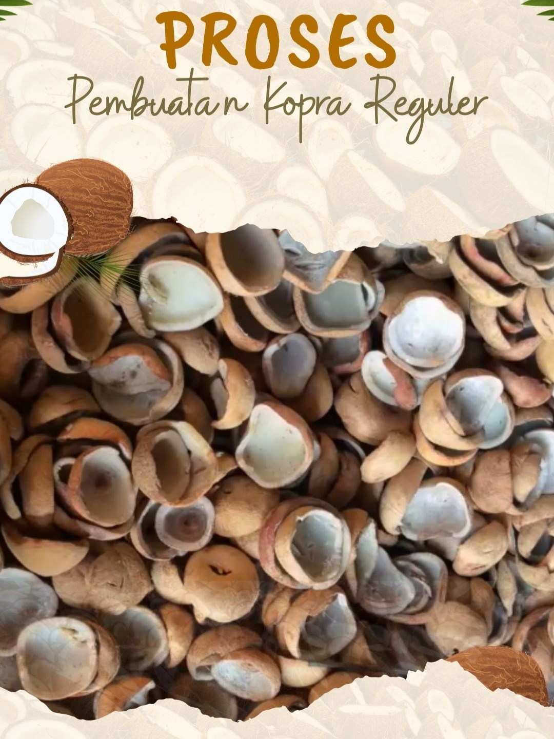 @Sempurna Pratama Indonesia