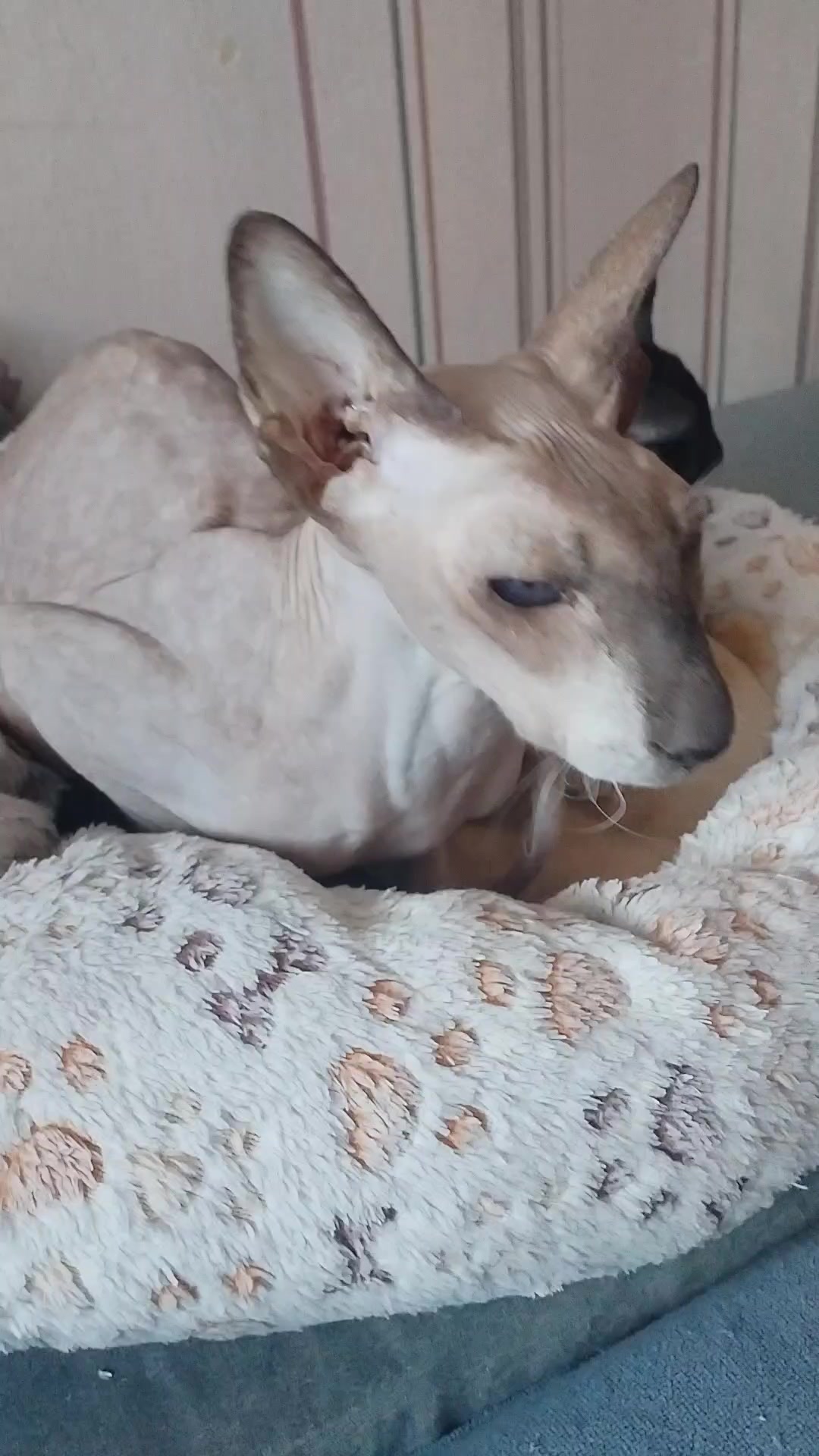 @Наталья