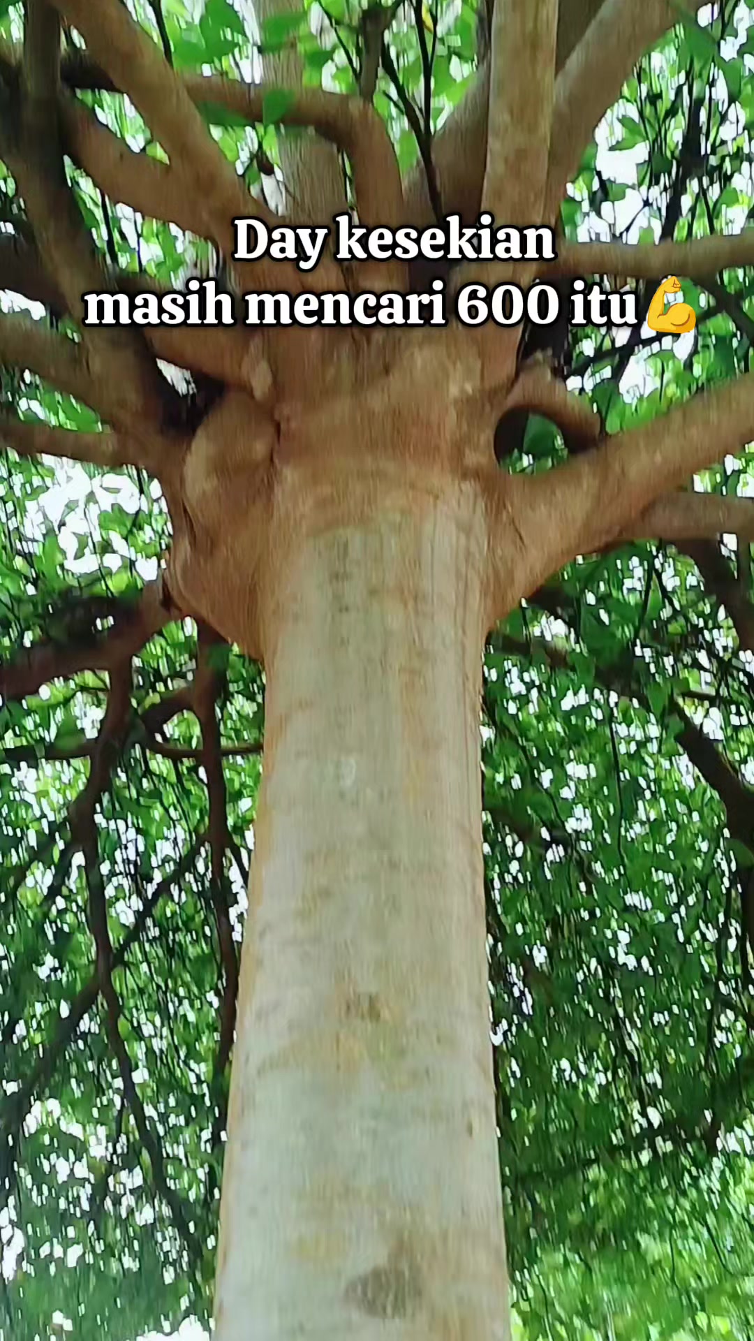 @ibu_devan