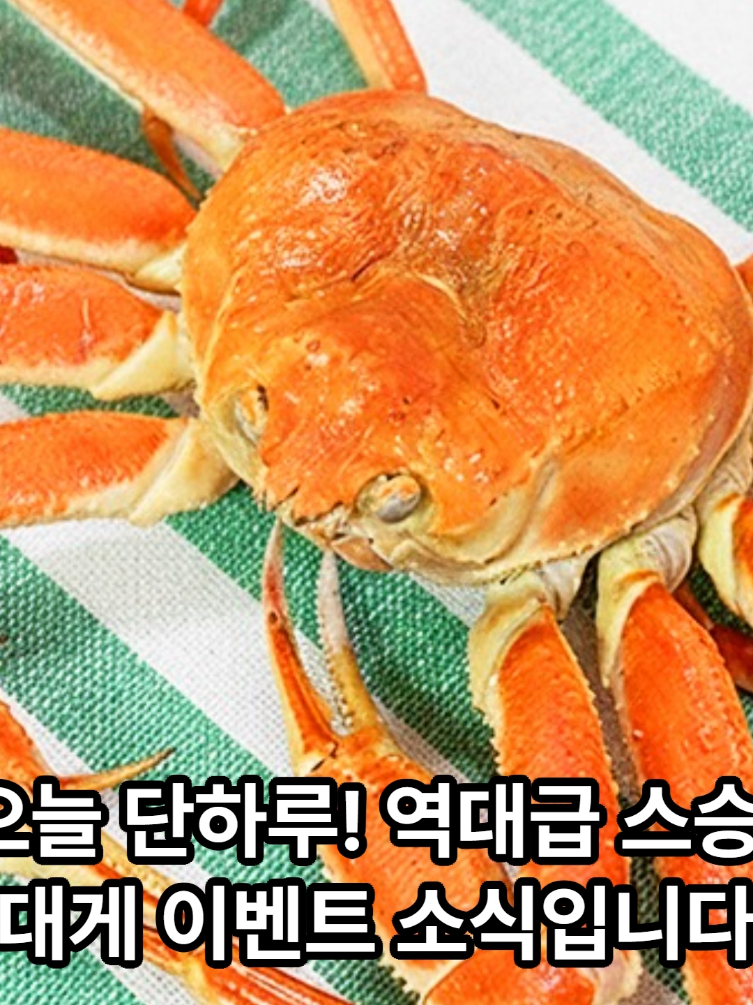 @킹크랩 대게 동해수산유통